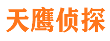 大关调查事务所